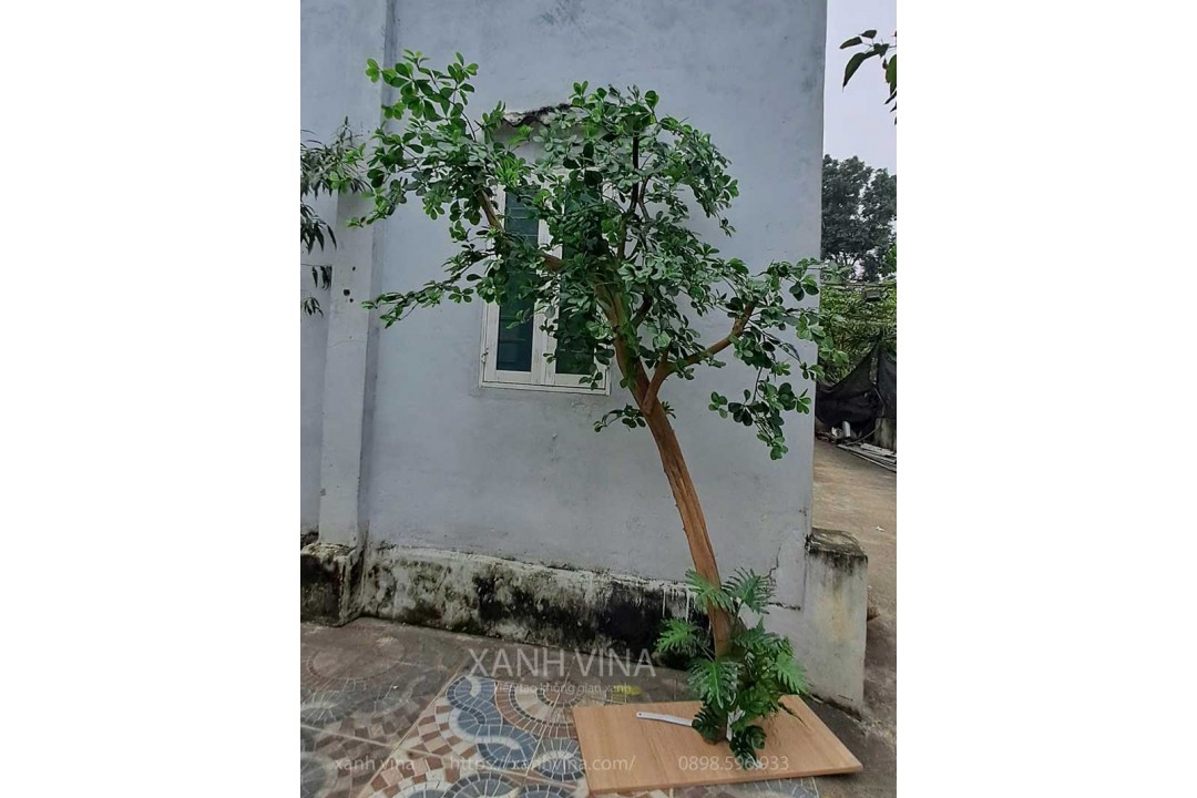 Thi công tiểu cảnh cây giả tại công trình nhà anh Thanh – Lê Trọng Tấn, Hà Đông